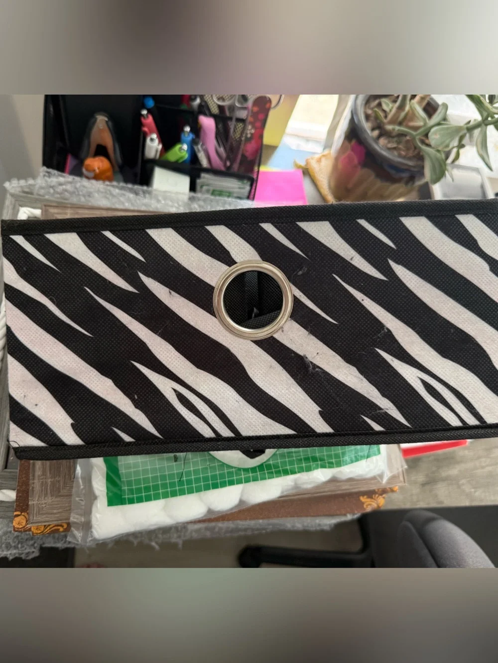 Zebra-Stripe Black & White Home Accent Organizer - Unbranded